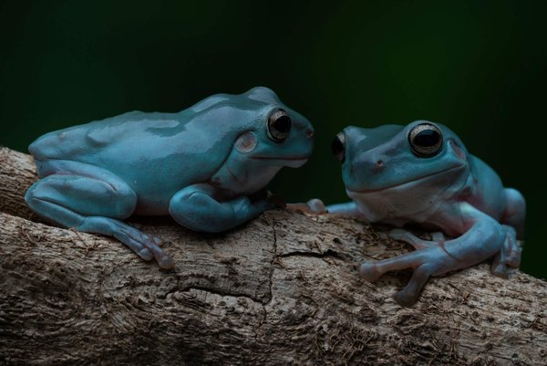 How Can You Integrate Brightly Colored Footwear into a Conservative Work Wardrobe?