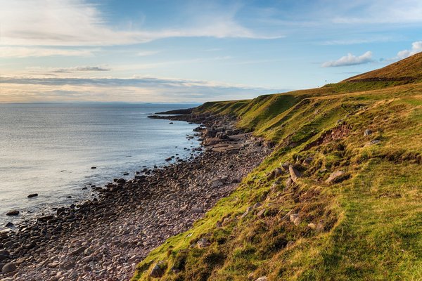 How to Elevate a Simple Rice Dish to Gourmet with Exotic Spices?